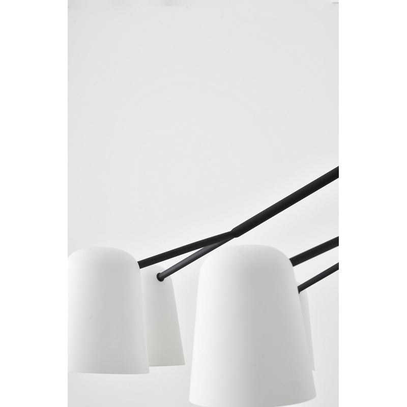 Eight Light Chandelier