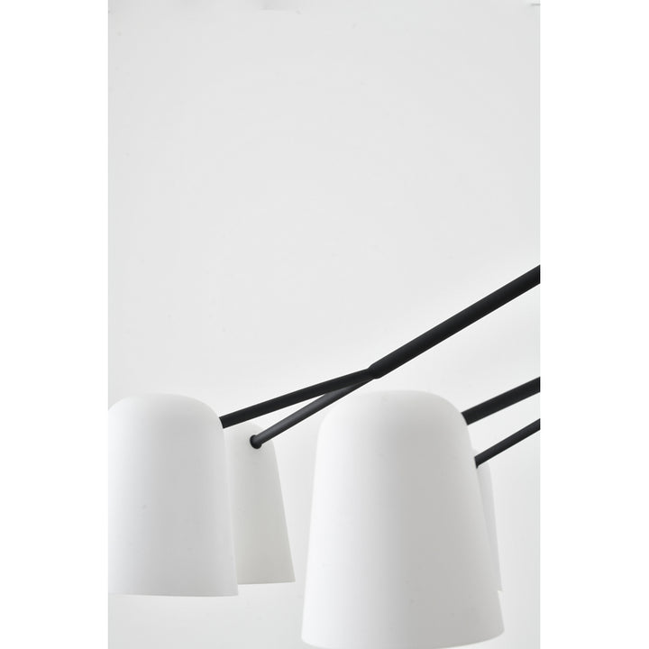 Eight Light Chandelier