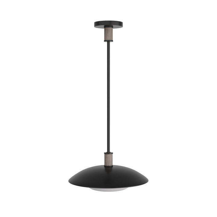Tobias One Light Pendant