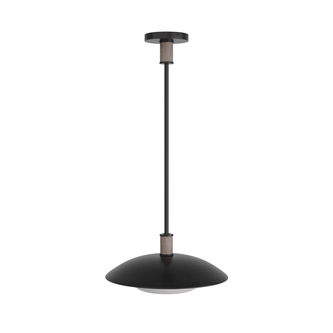 Tobias One Light Pendant