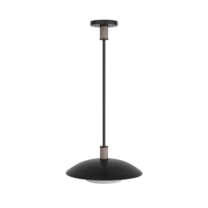Tobias One Light Pendant