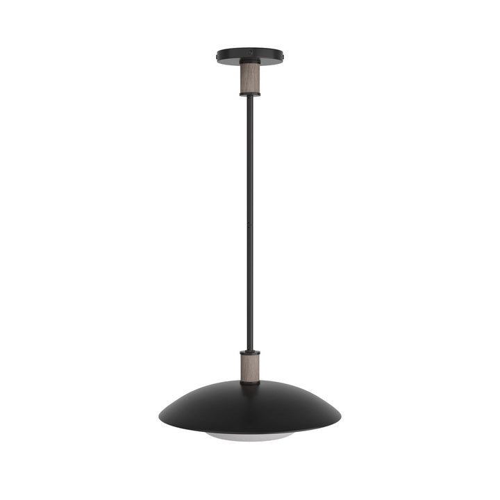 Tobias One Light Pendant
