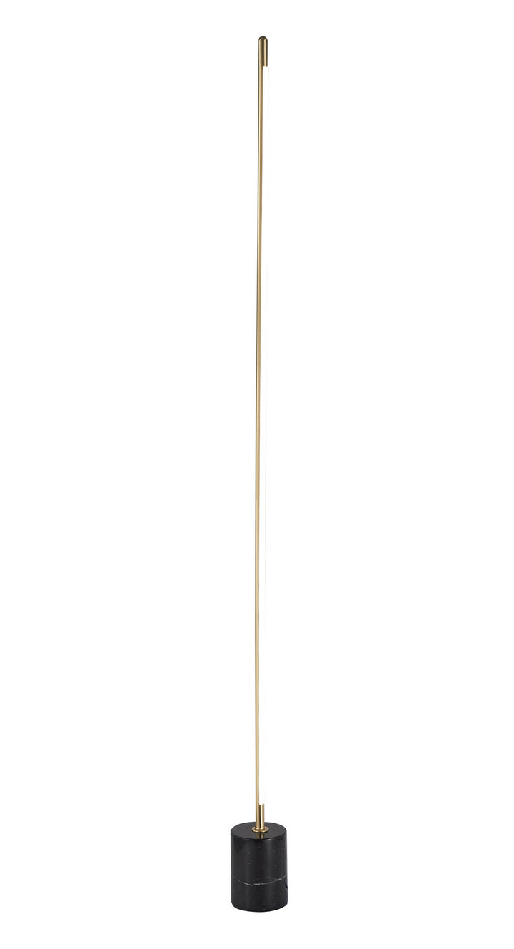 FT82F60BR LED Floor Lamp