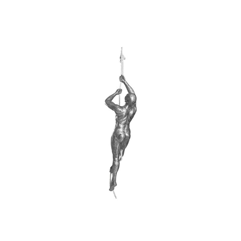 Climbing Sculpture w/Rope