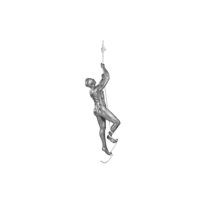 Climbing Sculpture w/Rope