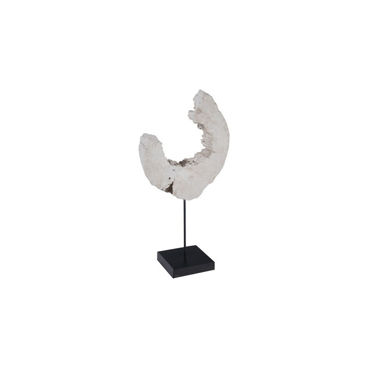Eroded Wood C Sculpture on Stand ,Assorted