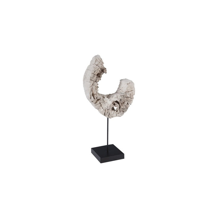 Eroded Wood C Sculpture on Stand ,Assorted