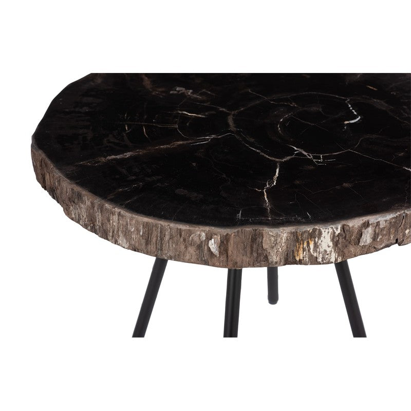 Petrified Coffee Table