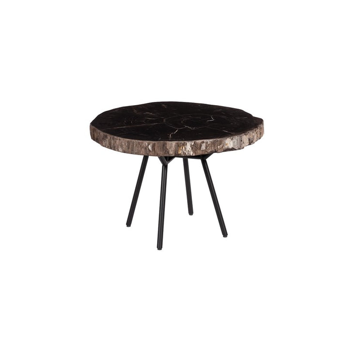 Petrified Coffee Table