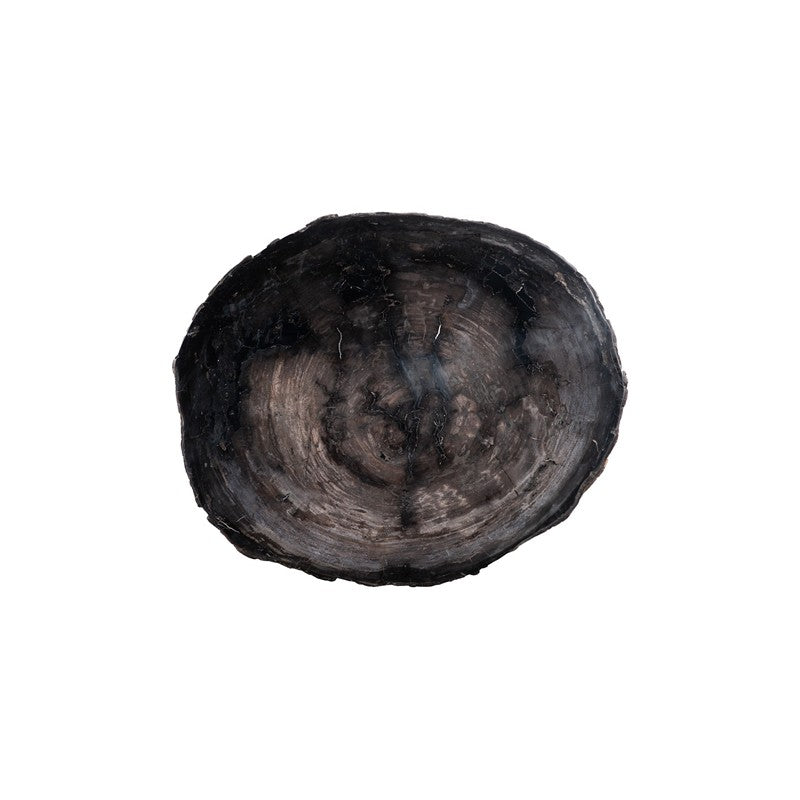 Petrified Coffee Table