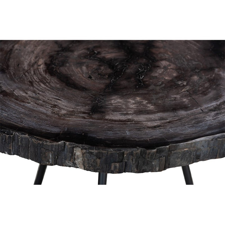 Petrified Coffee Table