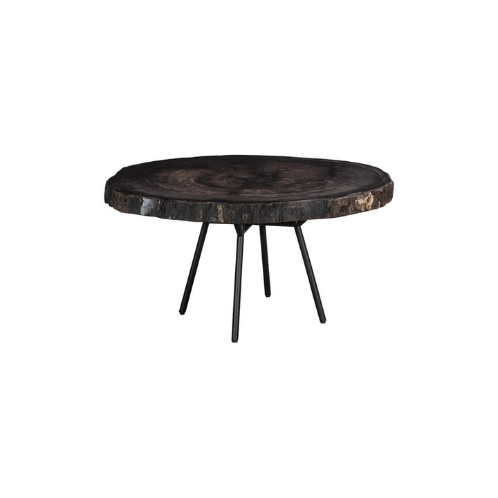 Petrified Coffee Table