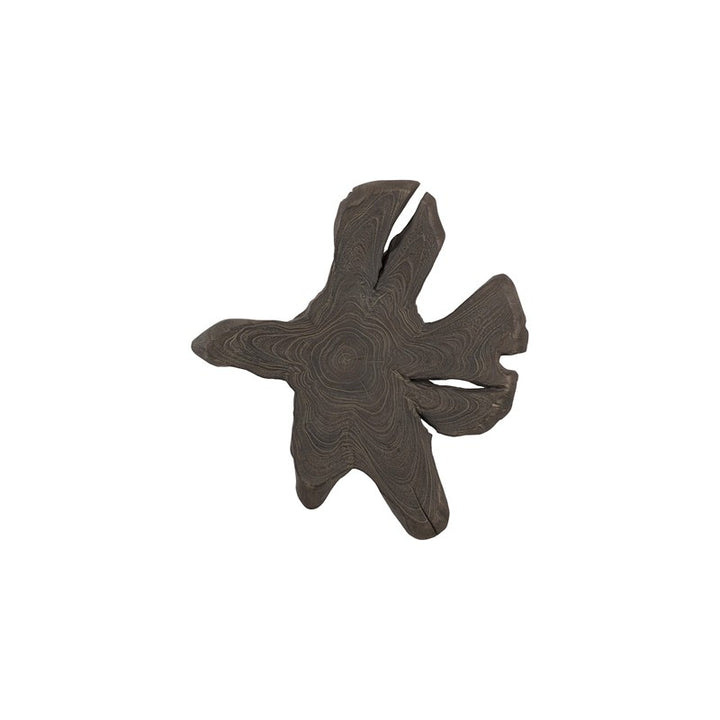 Freeform Teak Wall Slice