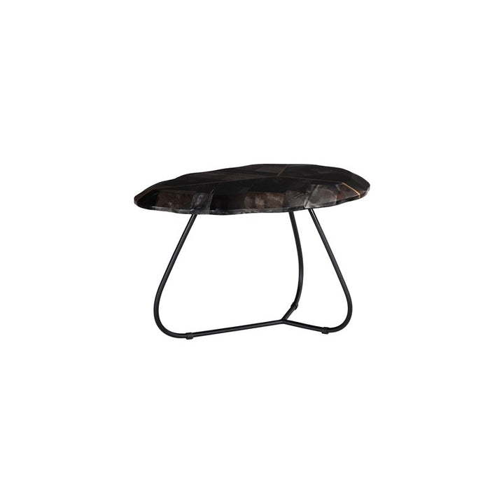 Mosaic Leaf Petrified Coffee Table