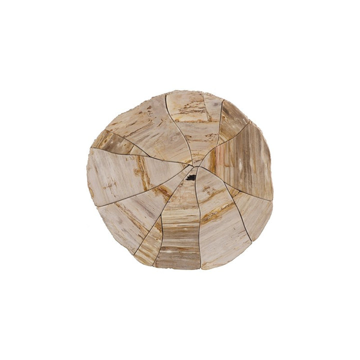 Converge Petrified Coffee Table