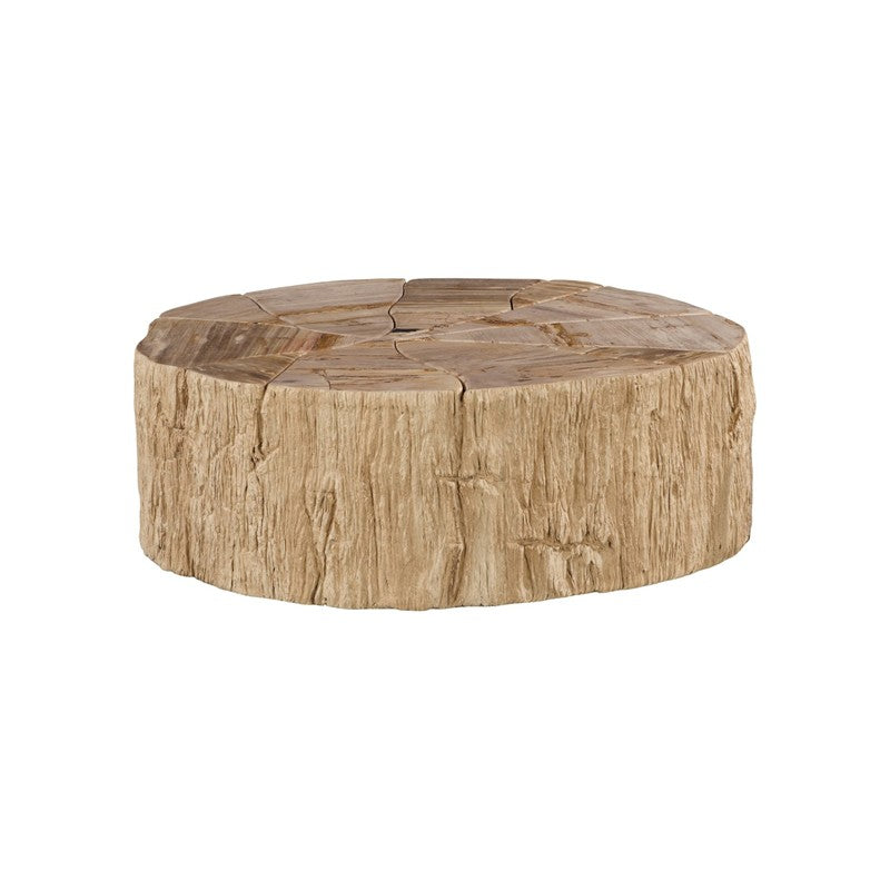 Converge Petrified Coffee Table