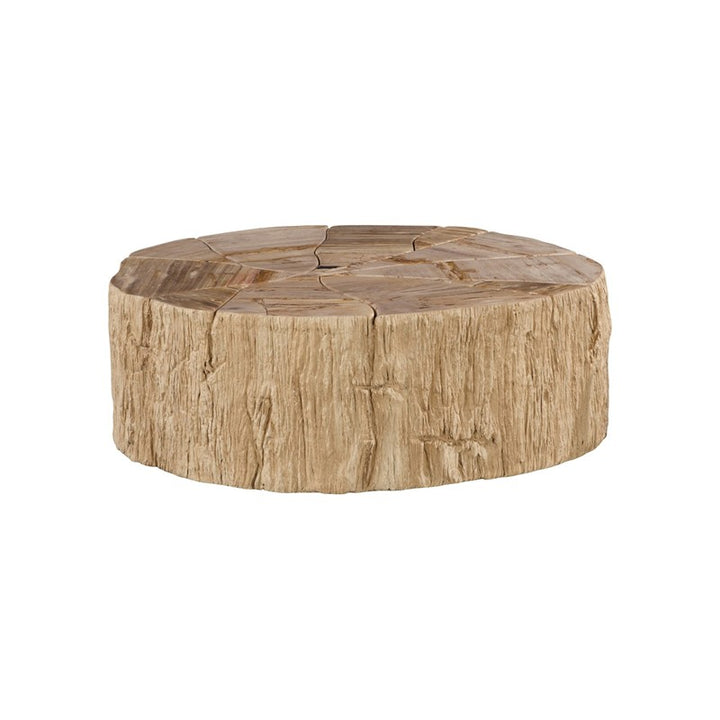 Converge Petrified Coffee Table