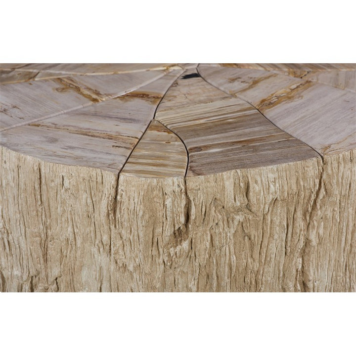 Converge Petrified Coffee Table