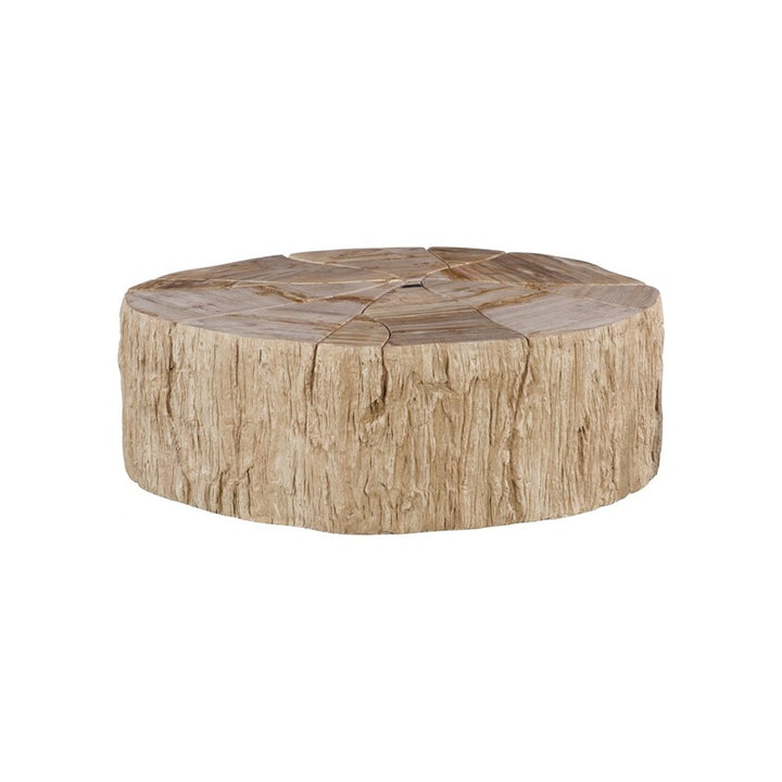 Converge Petrified Coffee Table