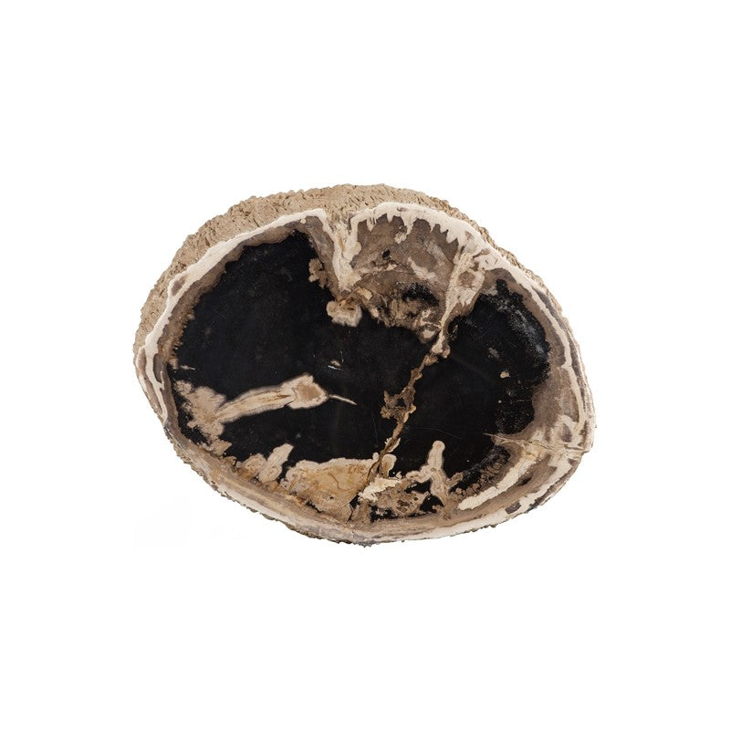 Chaka Petrified Stool