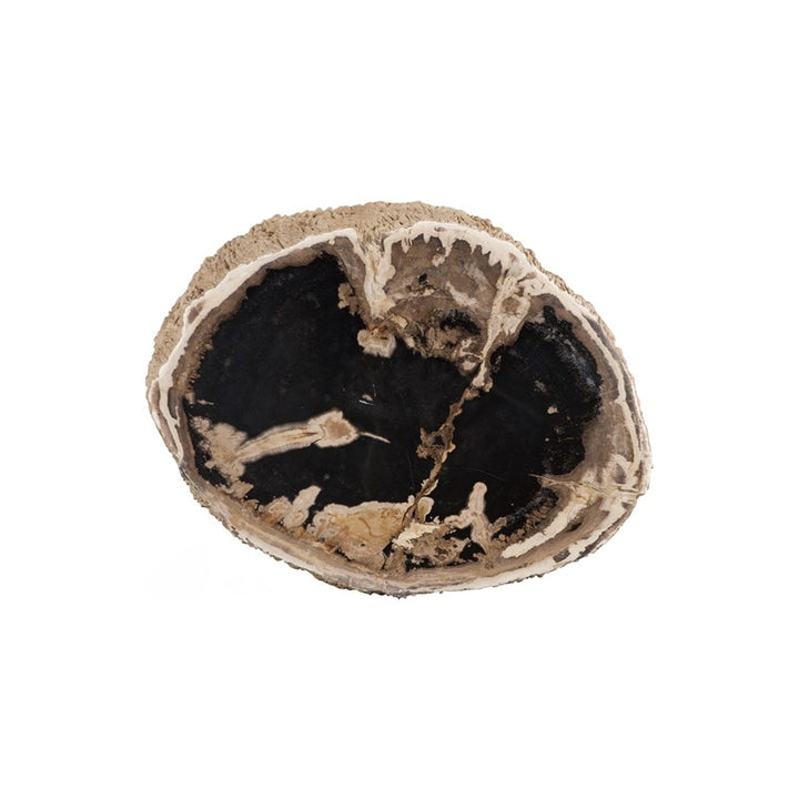 Chaka Petrified Stool