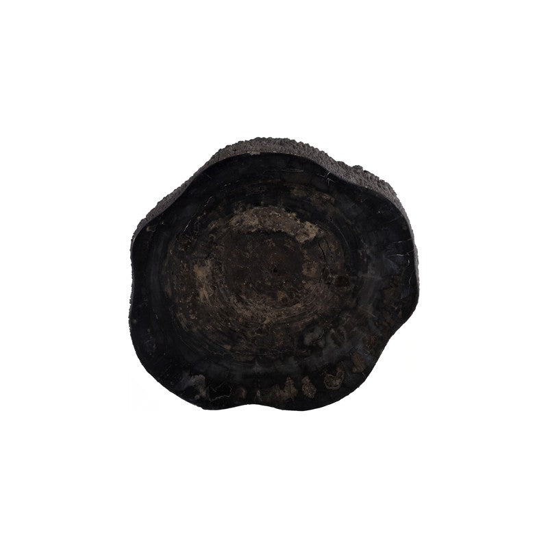 Chaka Petrified Coffee Table