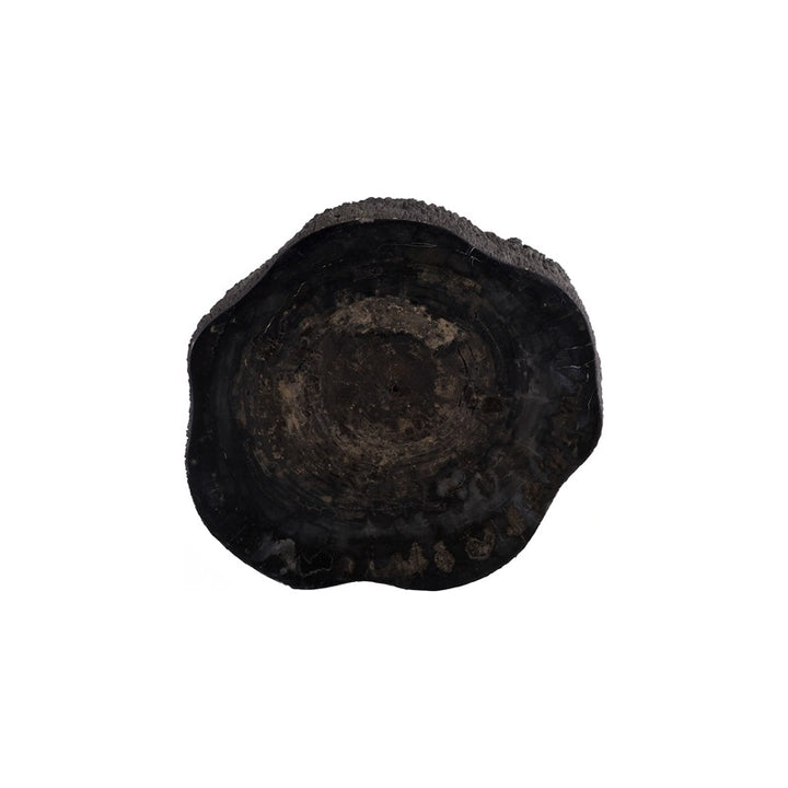 Chaka Petrified Coffee Table