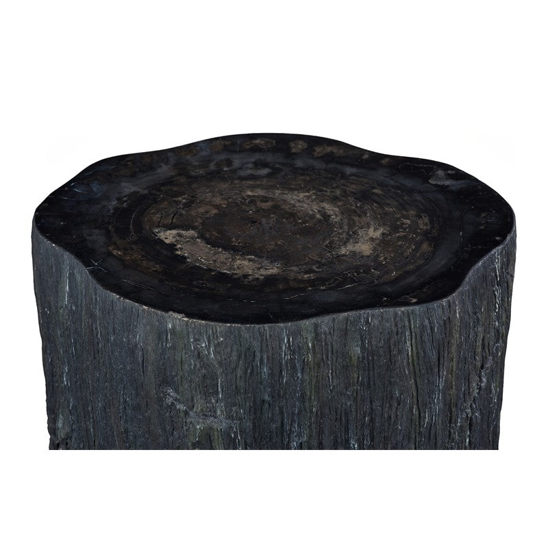 Chaka Petrified Coffee Table