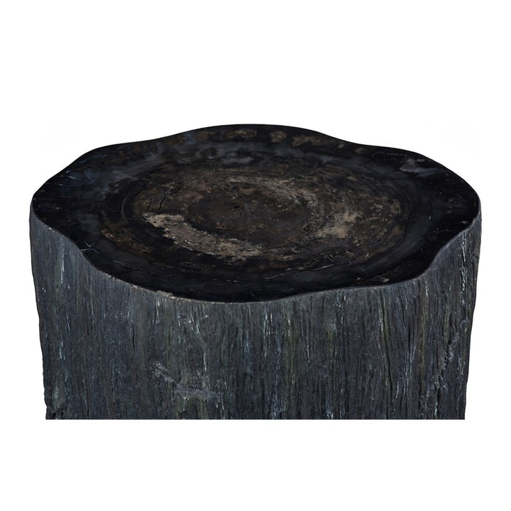 Chaka Petrified Coffee Table