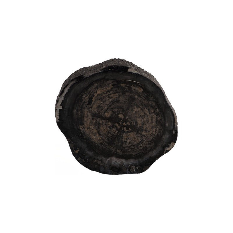 Chaka Petrified Coffee Table