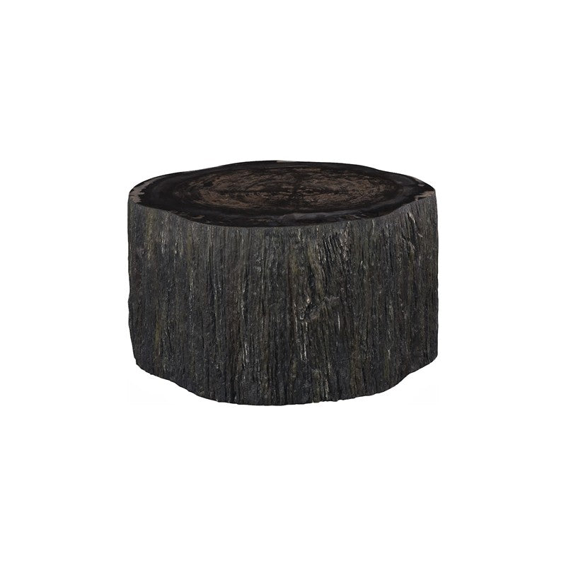 Chaka Petrified Coffee Table