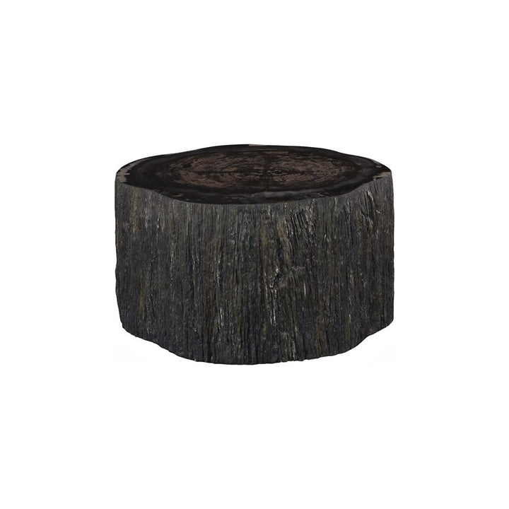 Chaka Petrified Coffee Table
