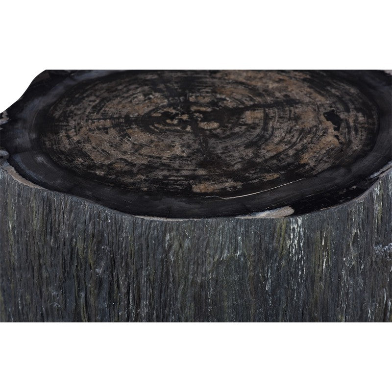 Chaka Petrified Coffee Table