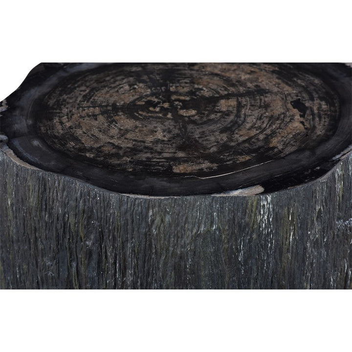 Chaka Petrified Coffee Table