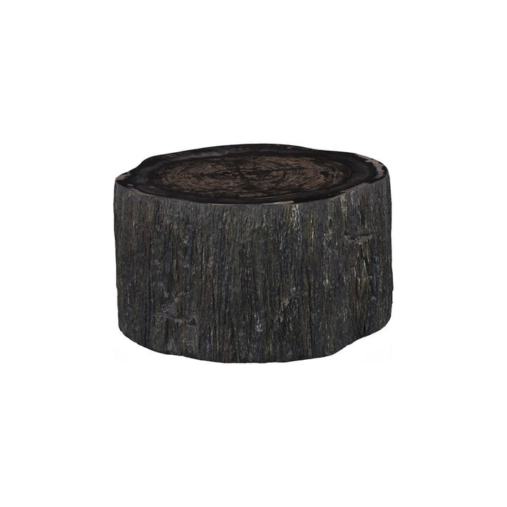 Chaka Petrified Coffee Table