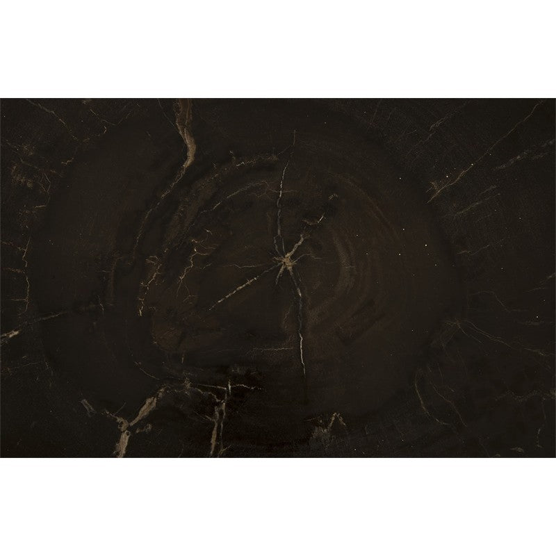 Petrified Wood Coffee Table