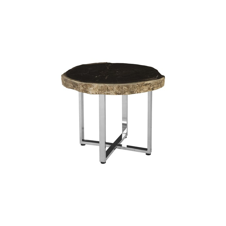 Petrified Wood Coffee Table