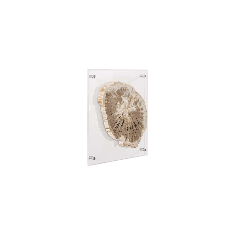 Floating Petrified Slice Wall Art