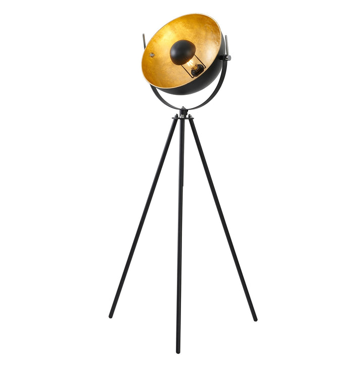JFL141KY-BLK One Light Floor Lamp