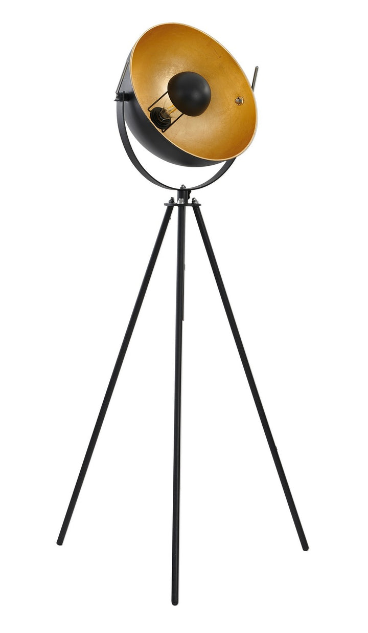 JFL141KY-BLK One Light Floor Lamp