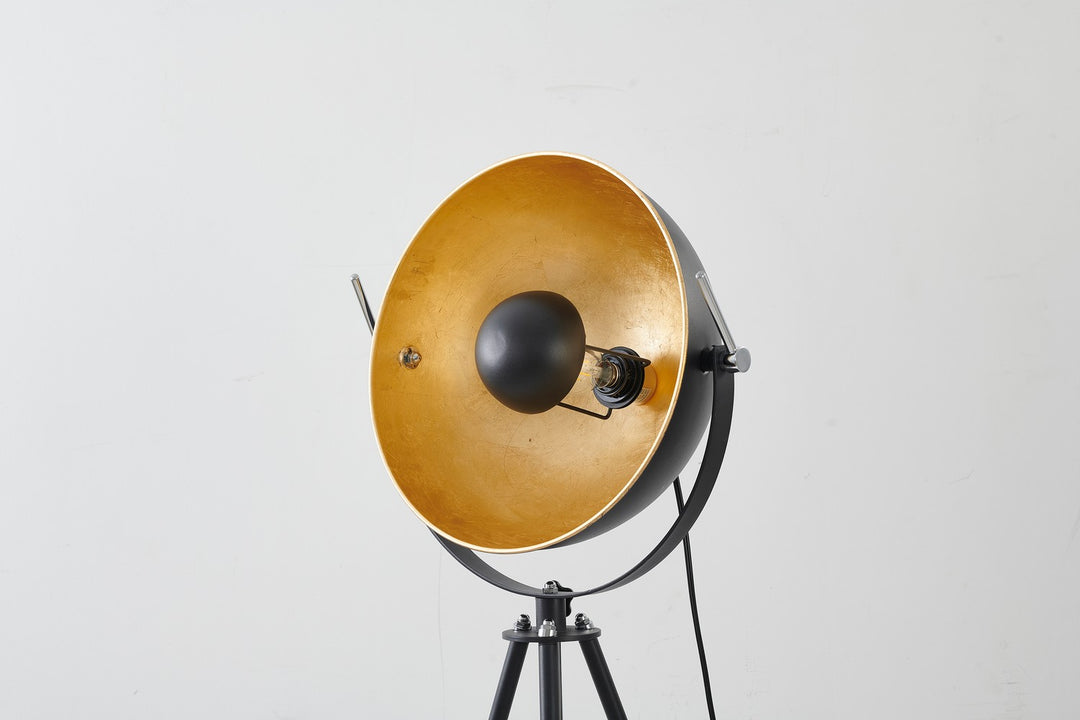 JFL141KY-BLK One Light Floor Lamp