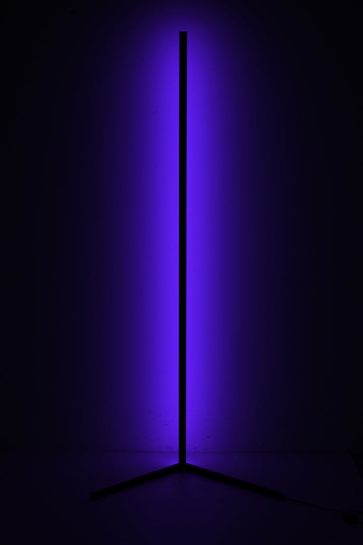OC54F57B LED Floor Lamp