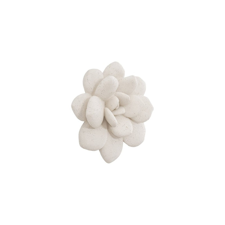 Laui Succulent Wall Art