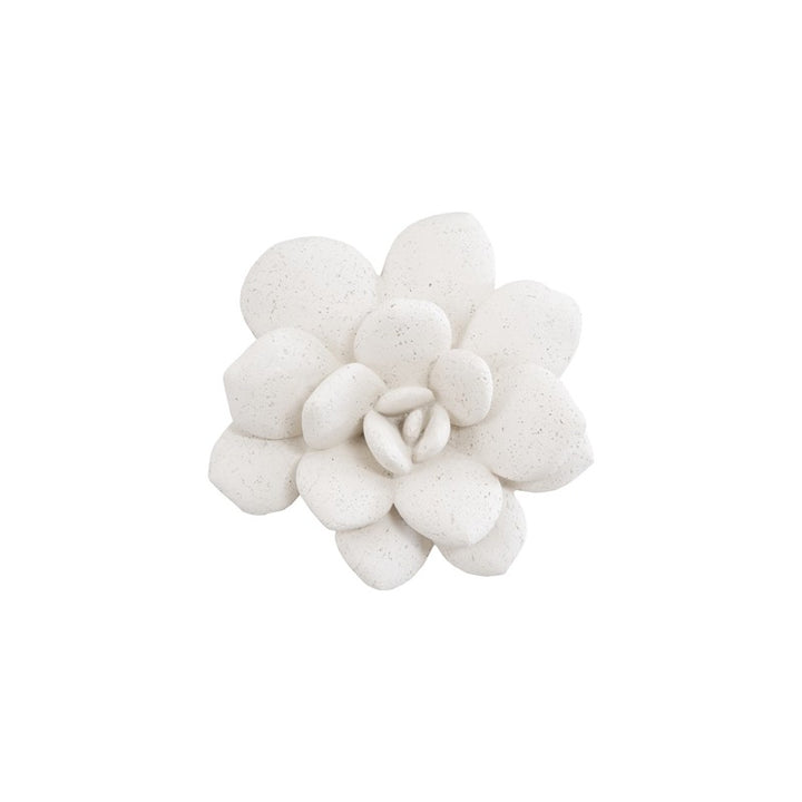 Laui Succulent Wall Art