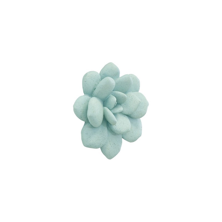 Laui Succulent Wall Art