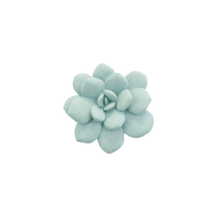 Laui Succulent Wall Art