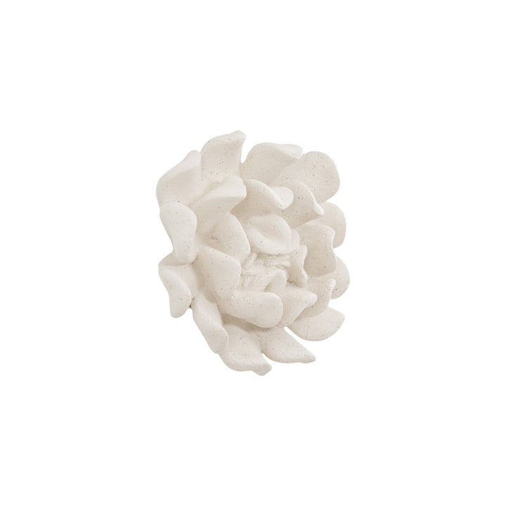 Topsy Turvy Succulent Wall Art