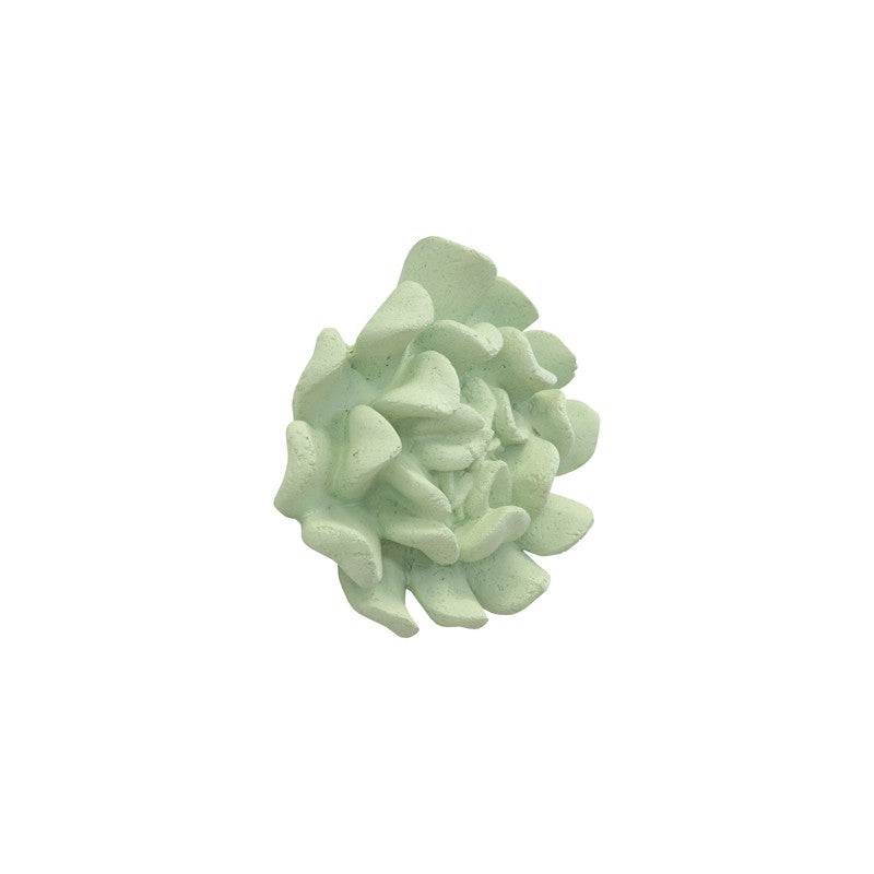 Topsy Turvy Succulent Wall Art