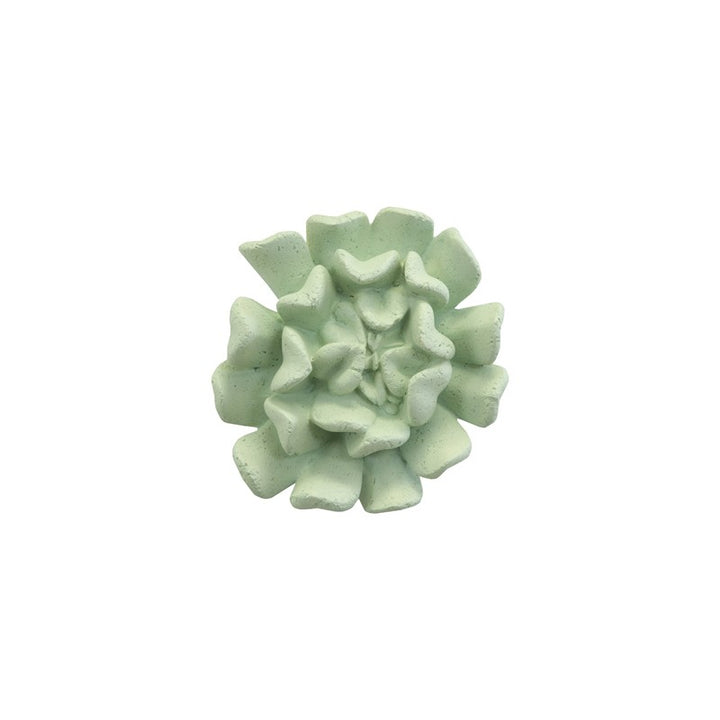 Topsy Turvy Succulent Wall Art