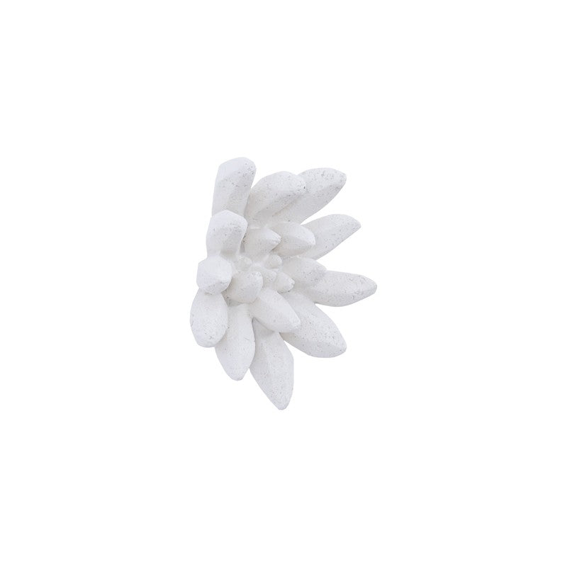 Compactum Succulent Wall Art, White Stone